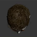 White Human Head Model With Brown Short Hair And Visible Facial Organs 3d model