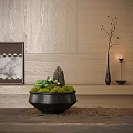 Bonsai Potted Plant in Black Pot with Green Moss Succulents Stones Against Wooden Wall Background