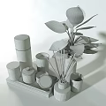 Daily Cleaning Essentials With Reed Diffusers Marble Jars Glass Bottles And Green Plants