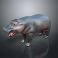 Hippo With Open Mouth Gray And Pink Skin Smooth Texture On Dark Background