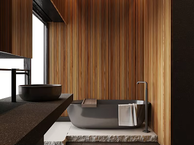 Modern Bathroom Interior Design With Wooden Walls Black Basin Bathtub And Stone Countertop 3d model