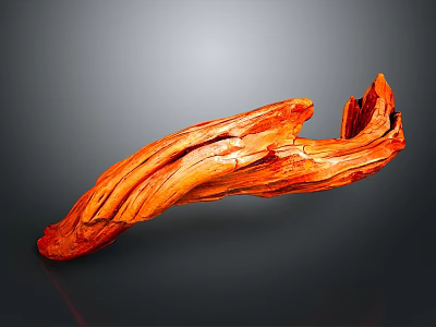 Vibrant Orange Plant Driftwood With Smooth Surface On Gray Background 3d model