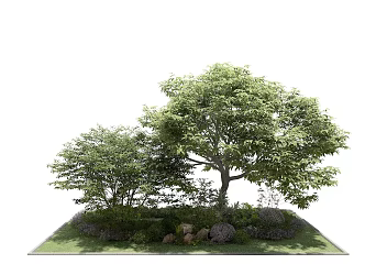 Modern Tree Outdoor Plant Greening Landscape 3d model