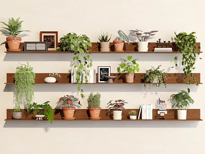 Multiple Wooden Shelves With Potted Plants Photo Frames Books And Decorative Items For Indoor Decor 3d model