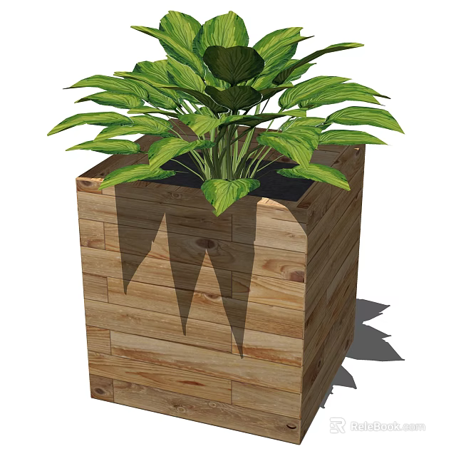 Bonsai Plant in Wooden Square Pot with Lush Green Leaves and Natural Texture 3d model 