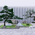 Courtyard Garden With Pine Trees Bonsai Rocks Green Grass And Striped Wall
