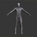 Detailed 3D Character Model Featuring Wireframe Texture In Standing Pose