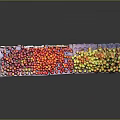 Vibrant Mixed Fruits Arranged in Colorful Rows on Display Tray
