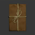 Brown Wrapped Package With Yellow String Bow And Textured Paper 3d model