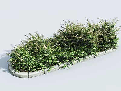 Neatly Arranged Green Shrubs in Outdoor Garden Bed With Concrete Border 3d model