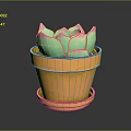Succulent Plant with Green and Pink Leaves in Orange Pot with Saucer on Dark Surface