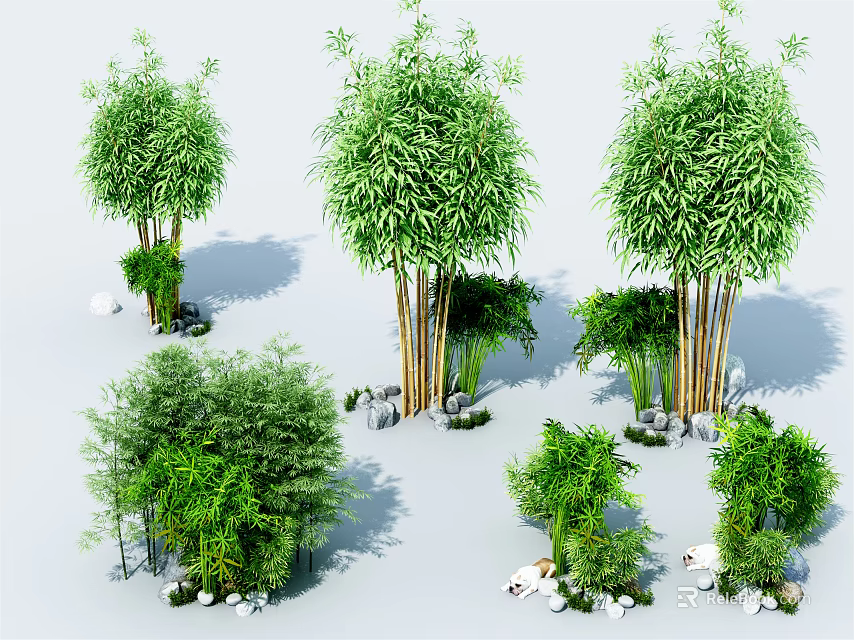 Various Bamboo Plants With Different Heights And Stone Accents In Natural Setting 3d model 