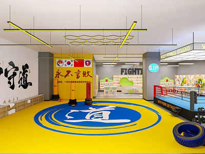Taekwondo and Boxing Training Gym with Martial Arts Area and Fitness Equipment 3d model