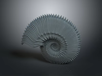 Intricate Spiral Shell Sculpture With Detailed Textured Patterns On Dark Background 3d model