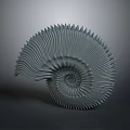 Intricate Spiral Shell Sculpture With Detailed Textured Patterns On Dark Background 3d model