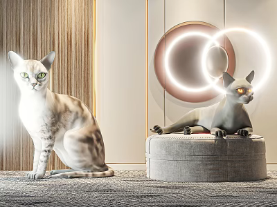 Two Cats Sitting And Lying Near Circular Glowing Decorations On Wooden Wall With Carpeted Floor 3d model