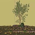 Lush Green Tree Surrounded By Colorful Fallen Leaves And Mossy Stones
