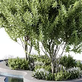 Modern Landscaped Tree Planter With Green Trees Water Elements And Garden Design