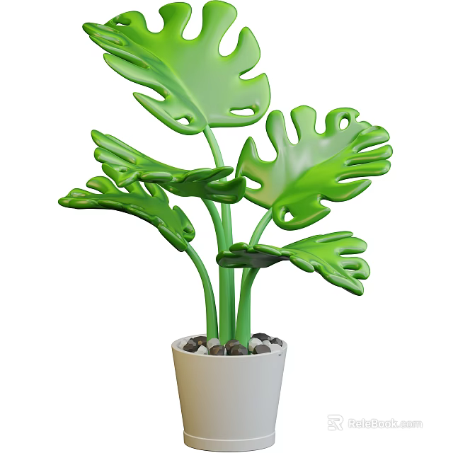 Lush Monstera Plant With Large Green Leaves In White Pot And Small Stones 3d model 