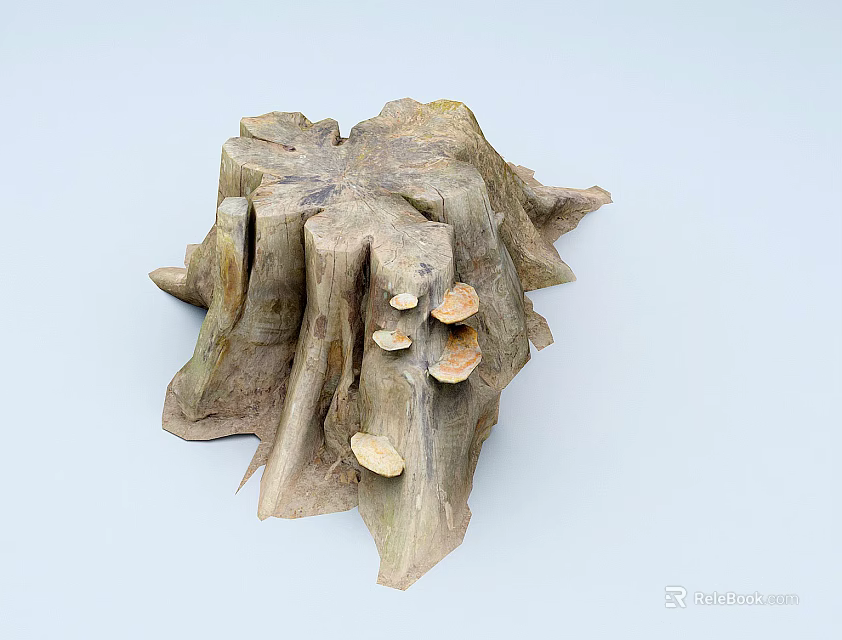 Old Wooden Tree Stump with Mushrooms Growing on Natural Texture Isolated on Light Background 3d model 