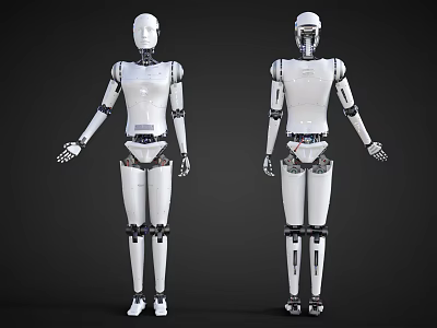 Smart Robots Front And Back View With White Humanoid Mechanical Structure Design 3d model