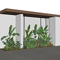 Indoor Landscape Interior With Lush Green Plants White Walls And Glass Partitions