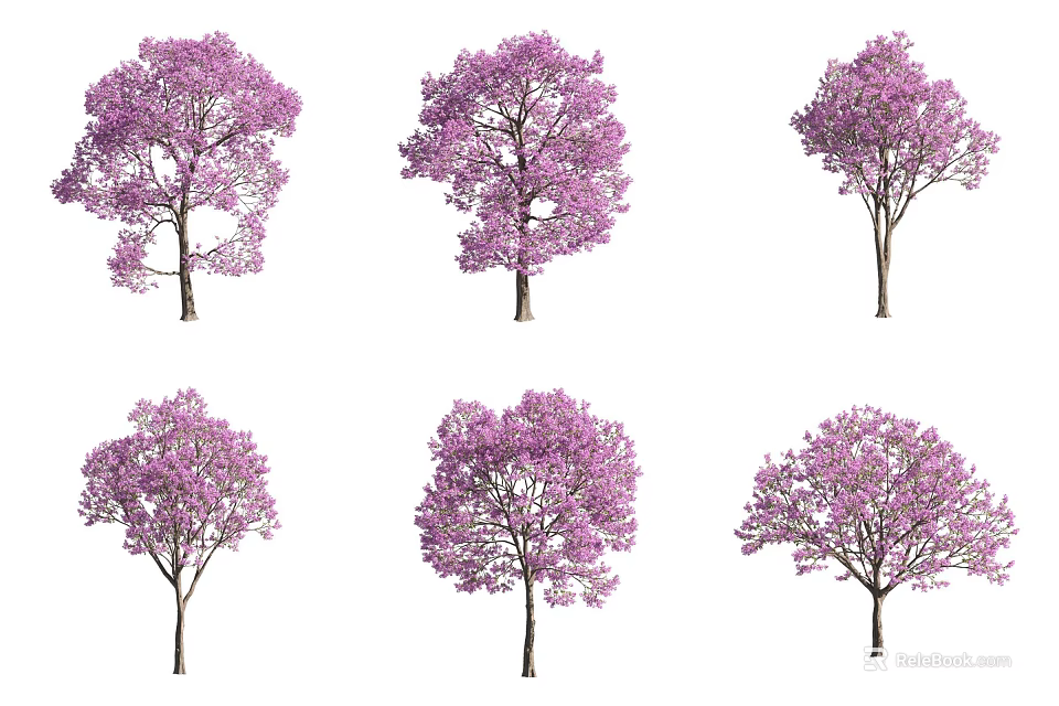 Six Trees with Purple Flowers in Various Forms Isolated on White Background 3d model 