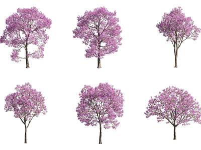 Six Trees with Purple Flowers in Various Forms Isolated on White Background 3d model