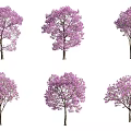 Six Trees with Purple Flowers in Various Forms Isolated on White Background 3d model