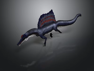 3D Spinosaurus Model With Dark Body Red Blue Sail And Walking Pose 3d model