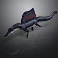 3D Spinosaurus Model With Dark Body Red Blue Sail And Walking Pose