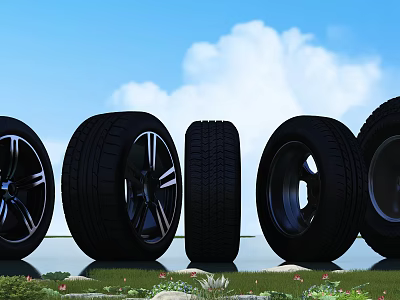 Different Car Tires With Rims Displayed Outdoors On Green Grass Under Blue Sky 3d model