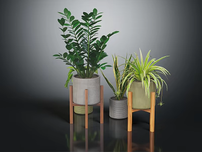 Indoor Green Plants In Modern Gray And Light Green Pots On Wooden Stands 3d model