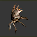 Brown crab with shiny exoskeleton and prominent claws isolated on gray background