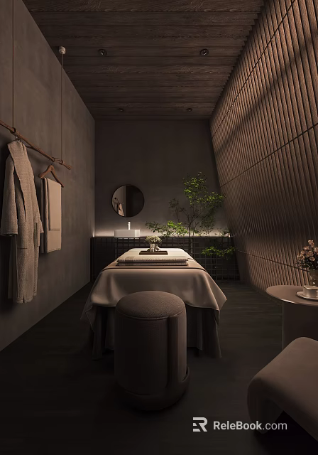 Modern Minimalist SPA Sauna Room With Massage Table Bathrobes Green Plants And Mirror 3d model 