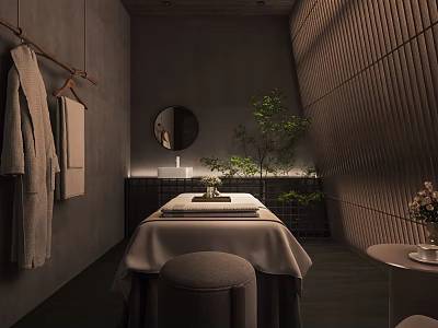 Modern Minimalist SPA Sauna Room With Massage Table Bathrobes Green Plants And Mirror 3d model