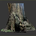 Realistic Natural Tree Stump With Detailed Bark Roots And Mossy Base