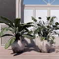 Two Large Leafy Potted Plants in Gray Ceramic Pots by White Window with Wooden Floor