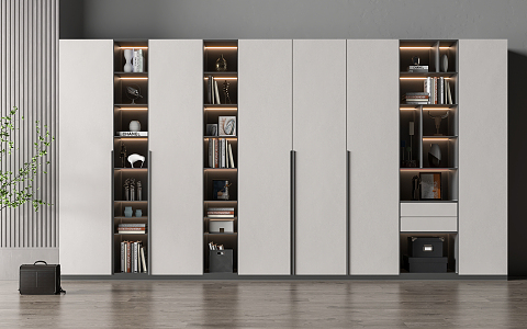 Modern bookcase 3d model