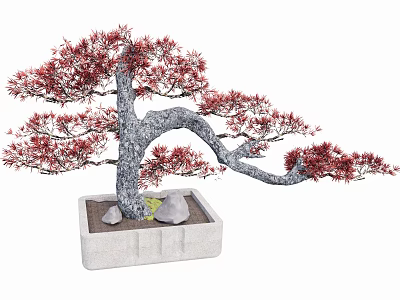 Beautiful Bonsai Plant With Red Leaves Gray Trunk In White Square Pot And Stones 3d model