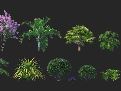 Various Types of Plants Including Purple Flowering Trees Palm Shrubs and Ferns 3d model