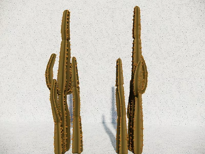 Two Tall Cactus Bonsai Plants Standing Against White Speckled Wall 3d model