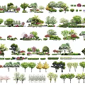 Arbor Trees With Various Species And Seasonal Foliage In Landscape Design