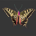 Vibrant Yellow Black Butterfly with Intricate Wing Patterns on Dark Background and Reflection 3d model