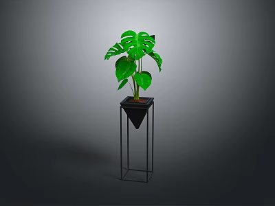 Lush Green Monstera Plant In Black Pot On Black Metal Stand 3d model