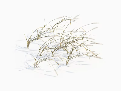 modern grass withered grass 3d model