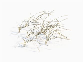 modern grass withered grass 3d model