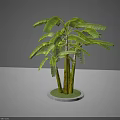 Tropical Arbor Tree With Green Leaves And Multiple Stems In Pot Display Model 3d model