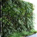 Living Plant Wall With Lush Green Foliage And Various Leaf Types For Indoor Decor