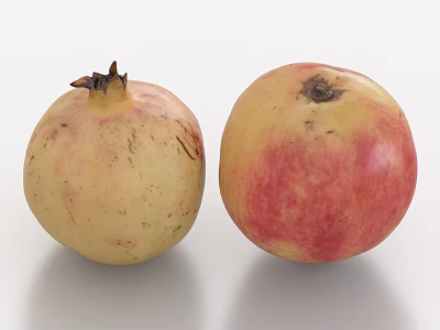 Two Fresh Pomegranates With Natural Skin Details On White Background 3d model